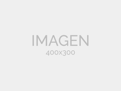 AL GRILL - COCINA DE HUMO